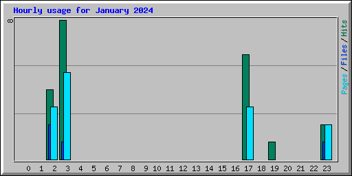 Hourly usage for January 2024