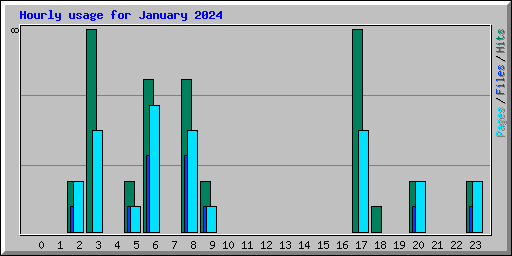 Hourly usage for January 2024