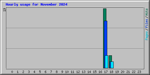 Hourly usage for November 2024
