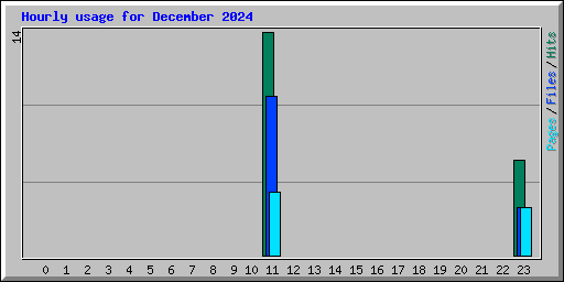 Hourly usage for December 2024
