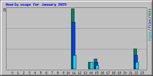 Hourly usage for January 2025