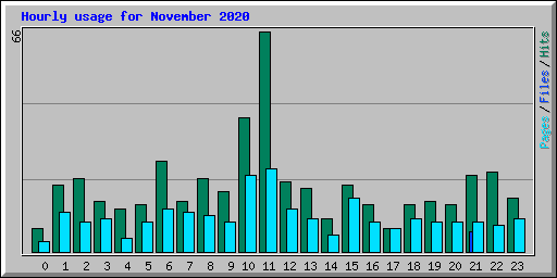 Hourly usage for November 2020