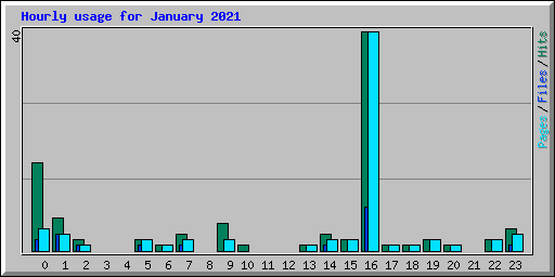Hourly usage for January 2021