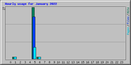 Hourly usage for January 2022