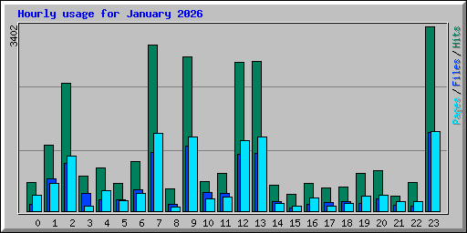 Hourly usage for January 2026