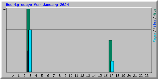 Hourly usage for January 2024