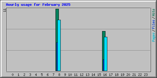 Hourly usage for February 2025