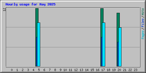 Hourly usage for May 2025