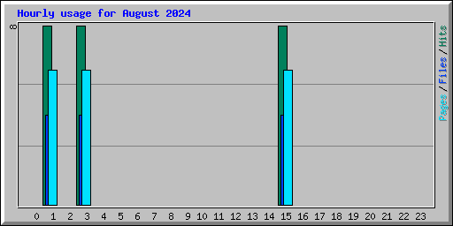 Hourly usage for August 2024