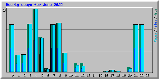 Hourly usage for June 2025