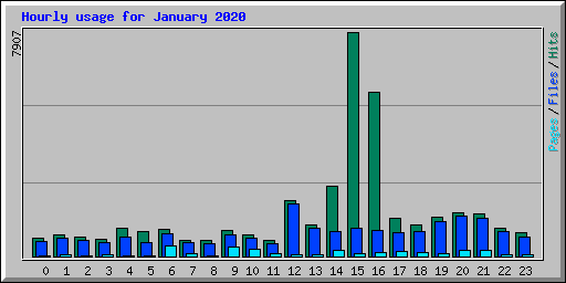 Hourly usage for January 2020