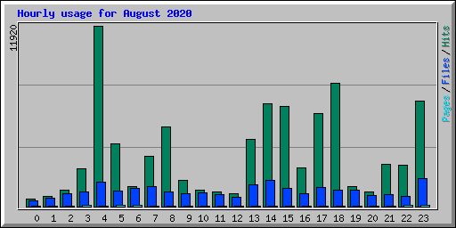 Hourly usage for August 2020
