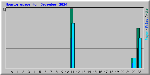 Hourly usage for December 2024