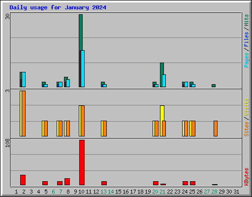 Daily usage for January 2024