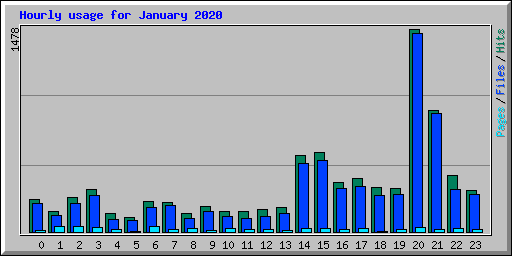 Hourly usage for January 2020