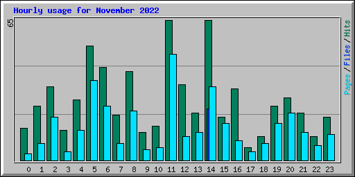 Hourly usage for November 2022