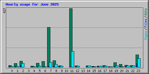 Hourly usage for June 2025