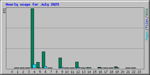 Hourly usage for July 2025