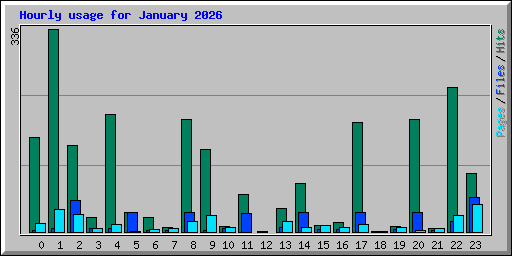 Hourly usage for January 2026