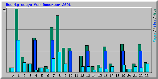 Hourly usage for December 2021