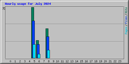 Hourly usage for July 2024