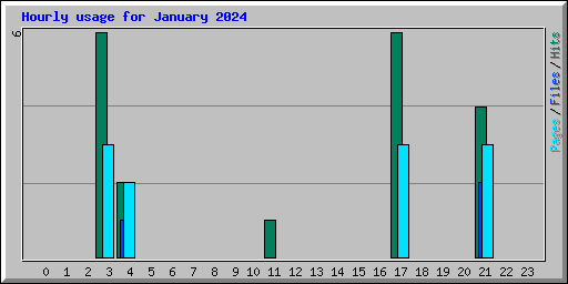 Hourly usage for January 2024