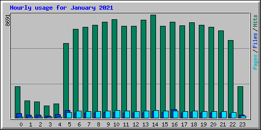 Hourly usage for January 2021