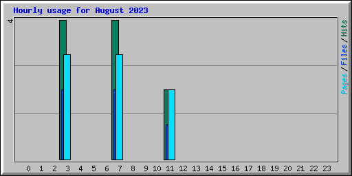 Hourly usage for August 2023