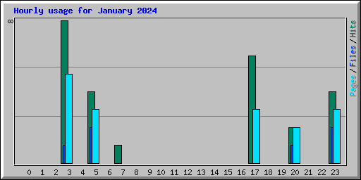 Hourly usage for January 2024