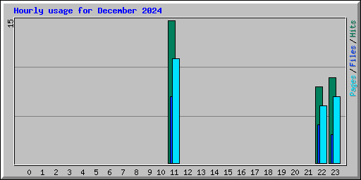 Hourly usage for December 2024