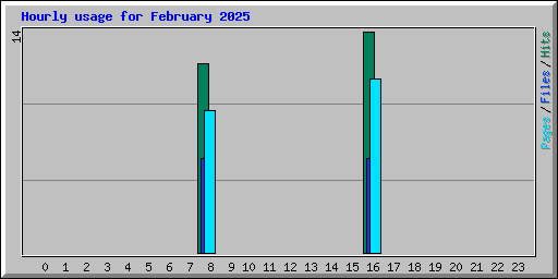 Hourly usage for February 2025
