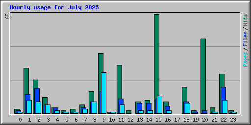 Hourly usage for July 2025