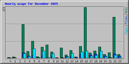 Hourly usage for December 2025