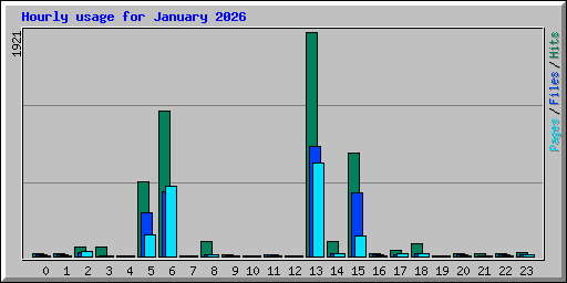 Hourly usage for January 2026
