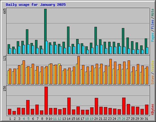 Daily usage for January 2025