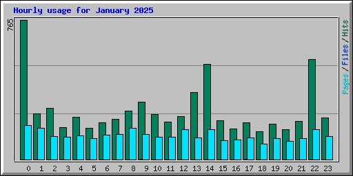 Hourly usage for January 2025