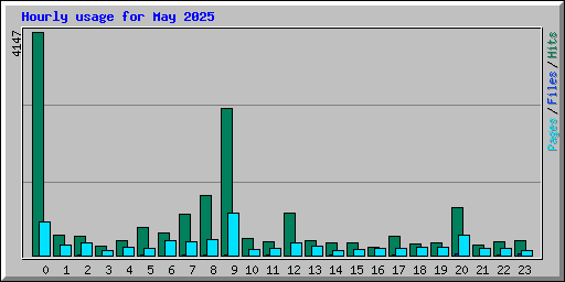 Hourly usage for May 2025