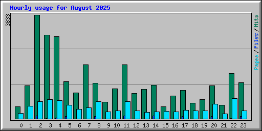 Hourly usage for August 2025