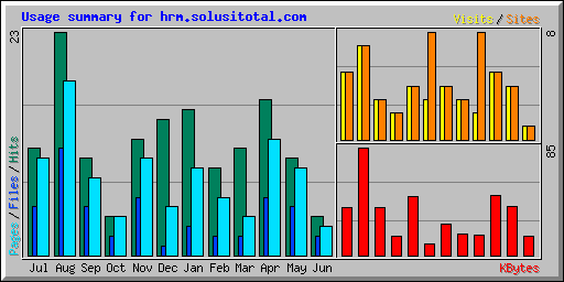 Usage summary for hrm.solusitotal.com